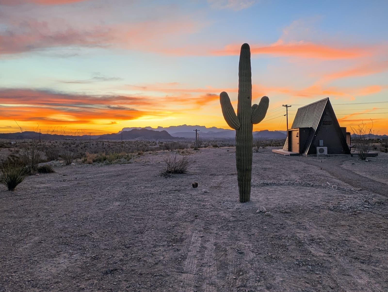 Stardust A-Frame with a saguaro cactus at sunset